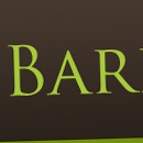 <strong>Barrier Financial Services</strong><br><strong>Duty: </strong>Front-End Designer<br><b>Assignment: </b>Interface design, graphics, and build